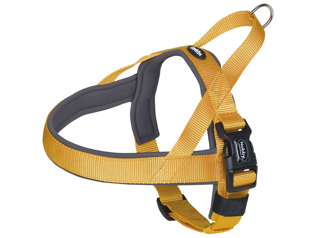 Red dog harness with black buckle on a white background