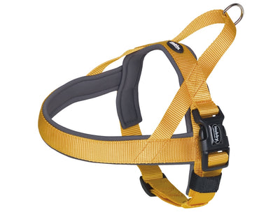 Yellow and gray dog harness on a white background