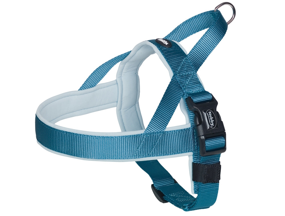 Blue dog harness on a white background