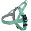Mint and gray dog harness on a white background