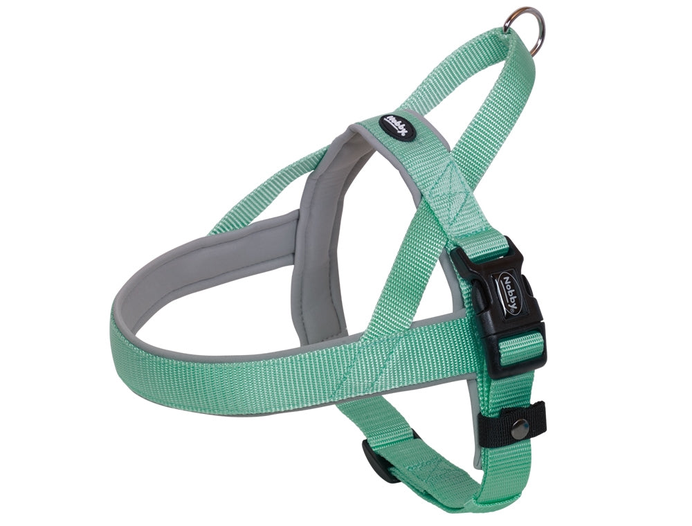 Mint and gray dog harness on a white background
