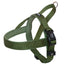 Wood Green dog harness on a white background