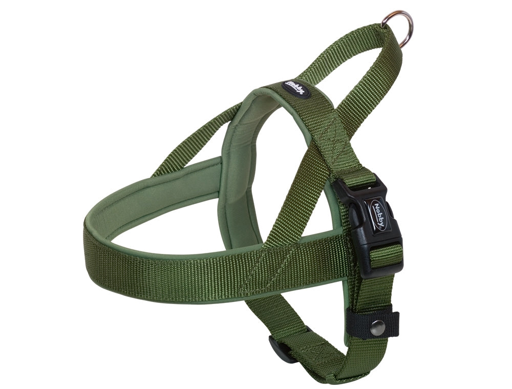 Wood Green dog harness on a white background