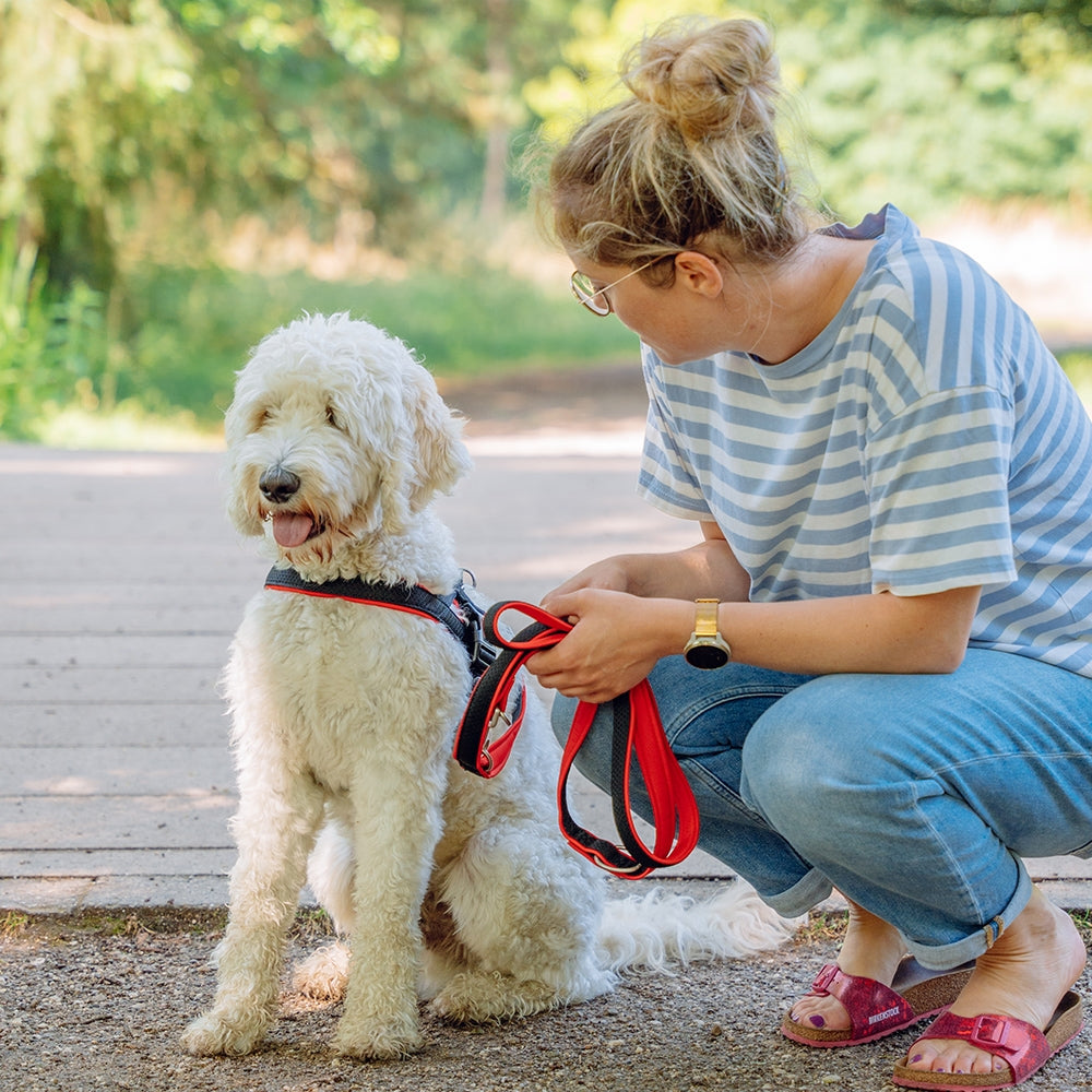 Training Leash "Mesh Preno"Nobby