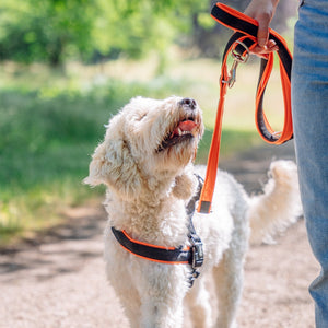 Training Leash "Mesh Preno"Nobby red