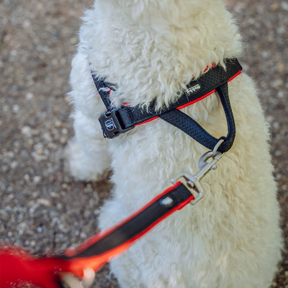 NORWEGIAN Harness "Mesh Preno red