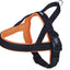 NORWEGIAN Harness "Mesh Preno neon orange