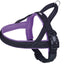 NORWEGIAN Harness "Mesh Preno purple