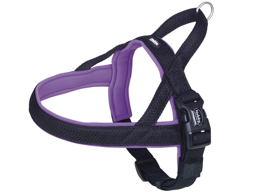 NORWEGIAN Harness "Mesh Preno purple