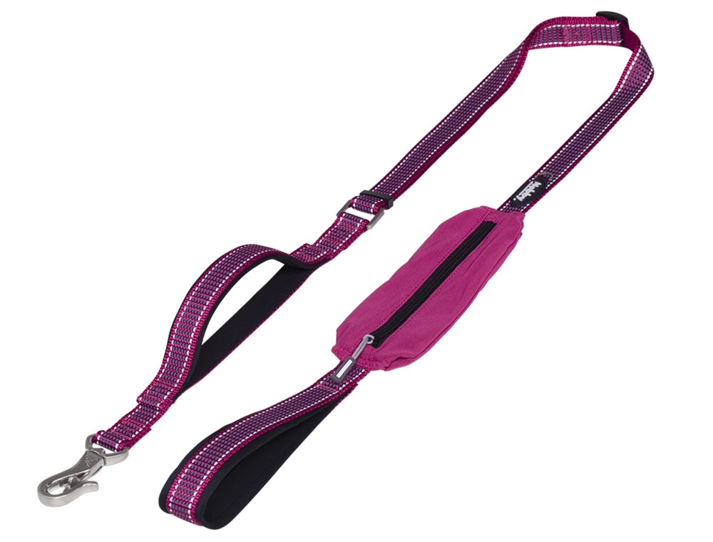 Kalea Premium Dog Leash with Pocket - Neoprene Padded Reflective Leash | Raspberry & Light Blue Nobby