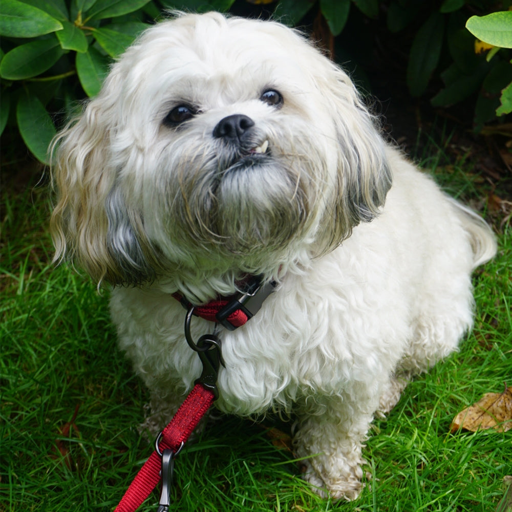 Collar "Linen Deluxe" red