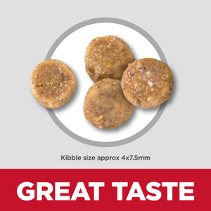 Dog kibble on a white plate with 'GREAT TASTE' text on a gray background