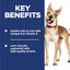 Hill's Science Diet Adult Dog Food 3kg/12kg - Premium Nutrition for Active Dogs