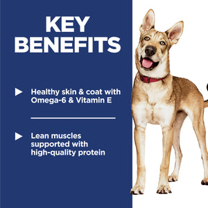Hill's Science Diet Adult Dog Food 3kg/12kg - Premium Nutrition for Active Dogs