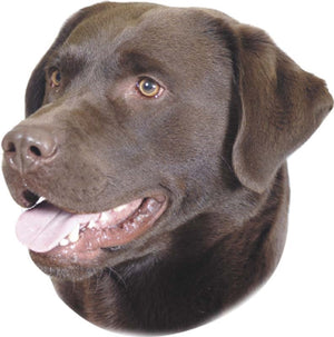 Nobby Dog Breed Stickers - Waterproof 2-Pack