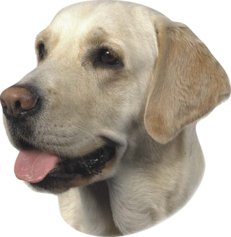 Dog Breed Stickers by Nobby - Waterproof 2-Pack (Malinois, Labrador)