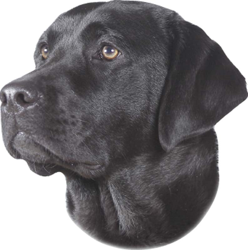 Nobby Dog Breed Stickers - Waterproof 2-Pack