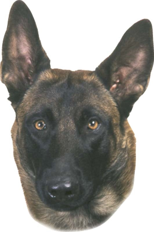 Nobby Dog Breed Stickers - Waterproof 2-Pack