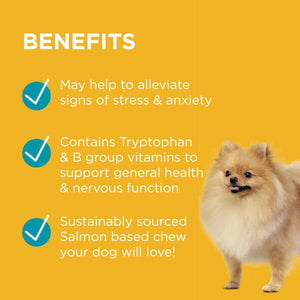 PAW Complete Calm Small Dog 75g