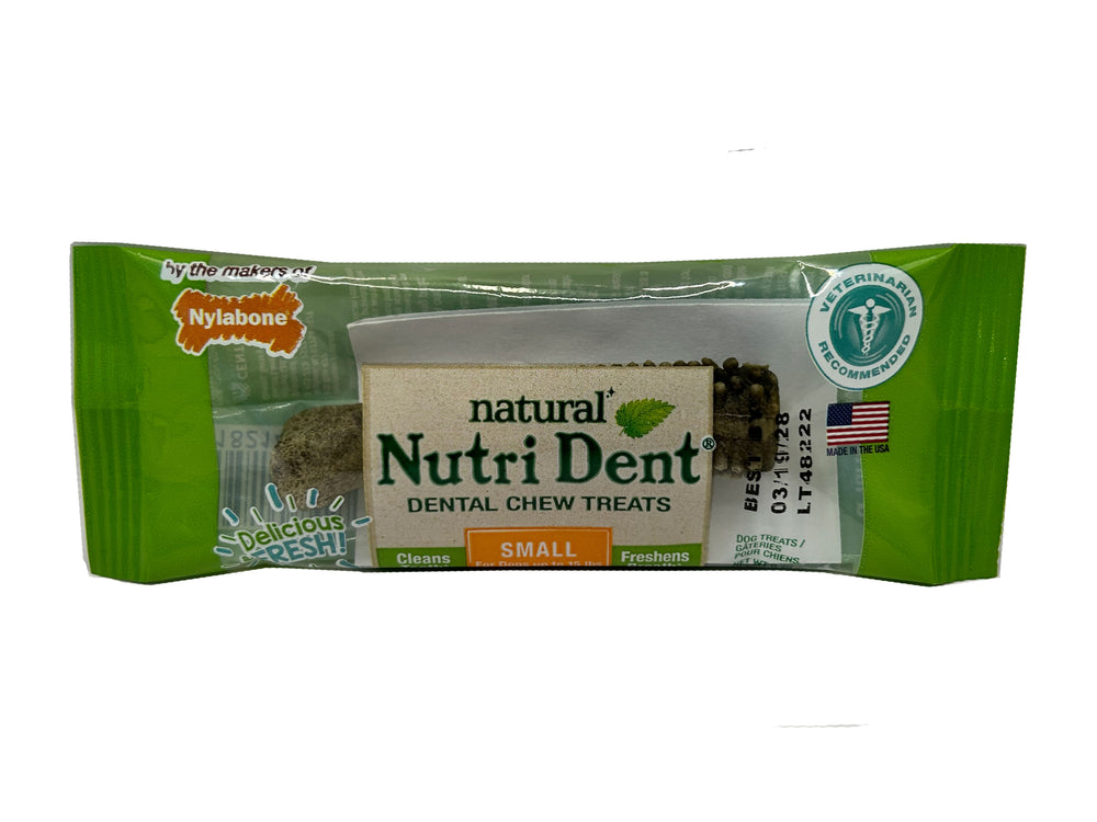 Nylabone Nutri Dent Fresh Breath Dental Chew Small Single