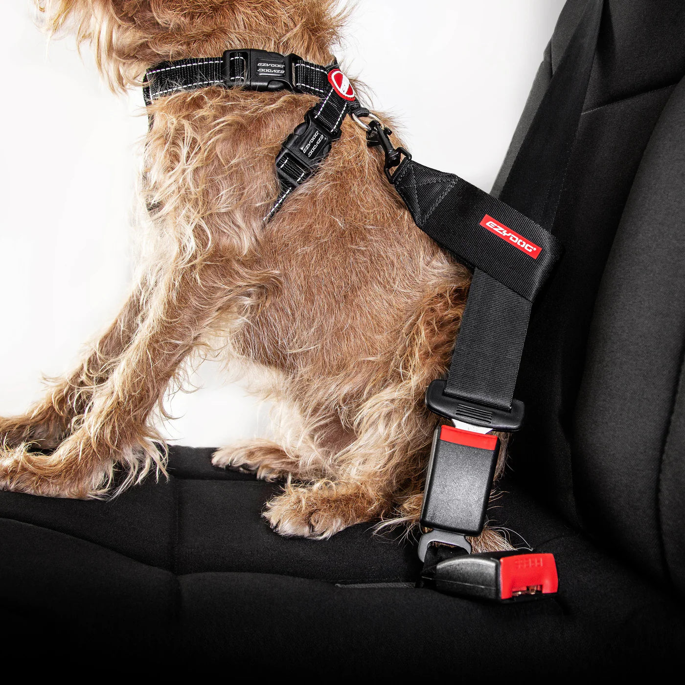 Dog wearing a black harness with red accents in a car seat.