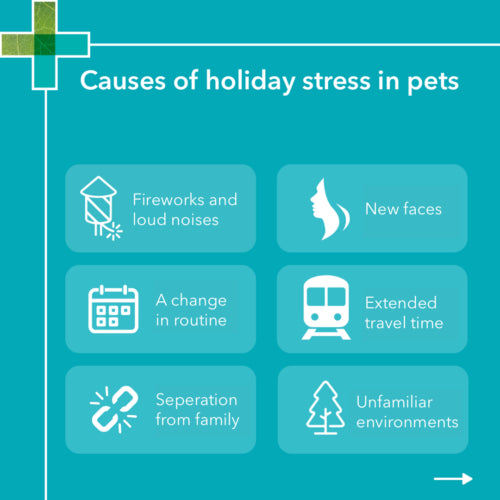PAW Complete Calm Small Dog 75g
