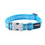 Blue dog collar with white bone pattern and Red Dingo branding on a white background