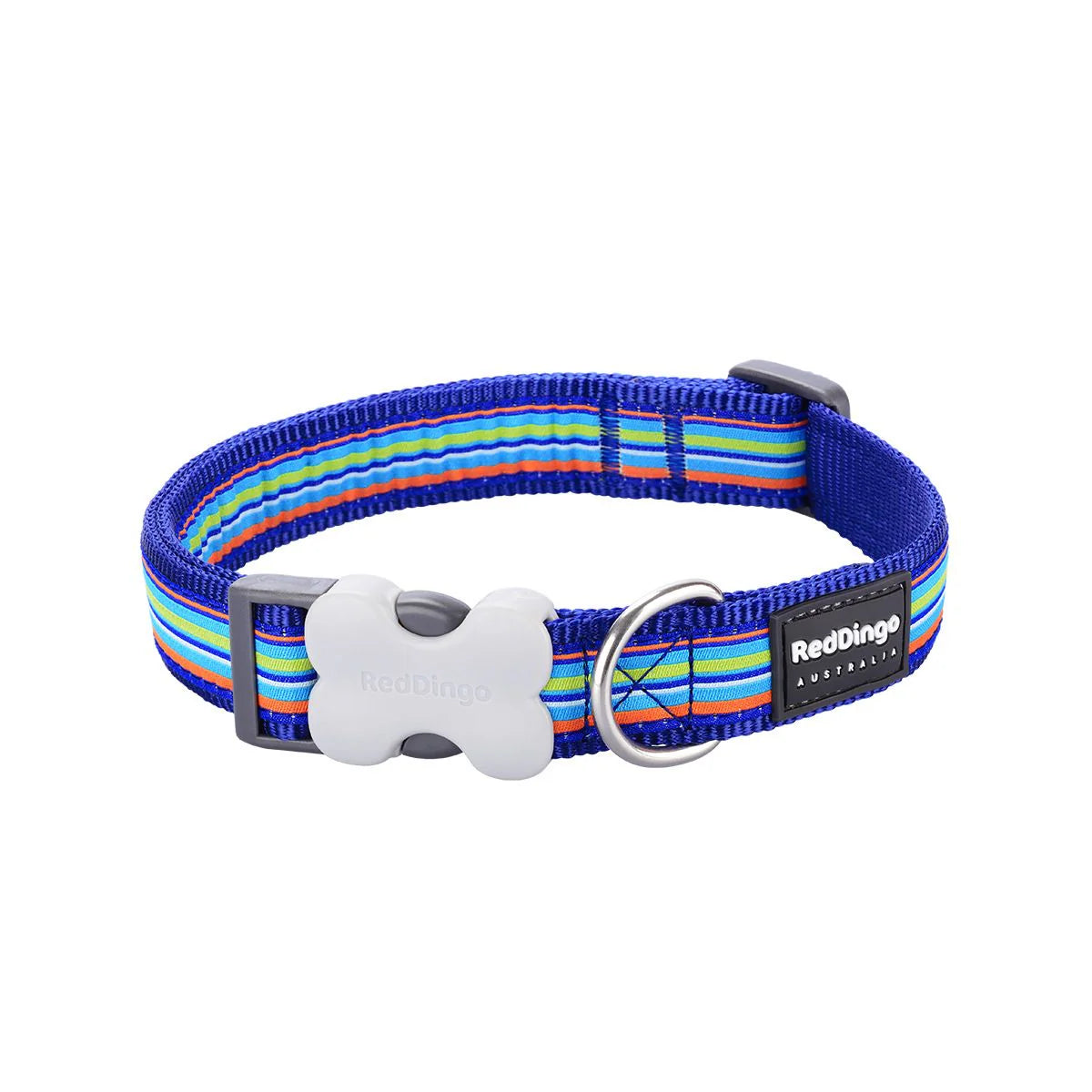 Dog collar with colorful striped pattern and bone-shaped tag on a white background