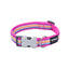 Dog collar with colorful striped pattern and gray bone-shaped buckle on a white background