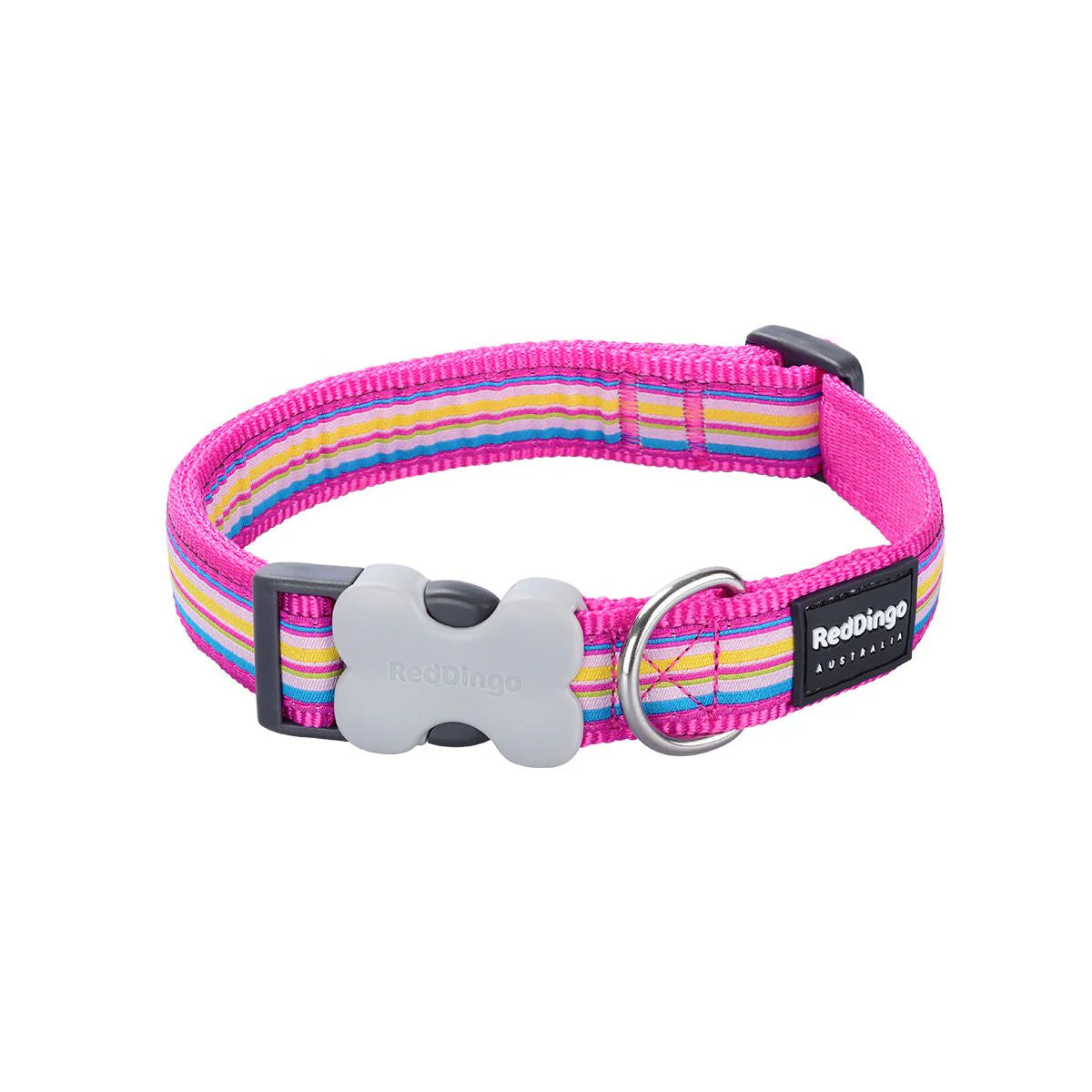 Dog collar with colorful striped pattern and gray bone-shaped buckle on a white background