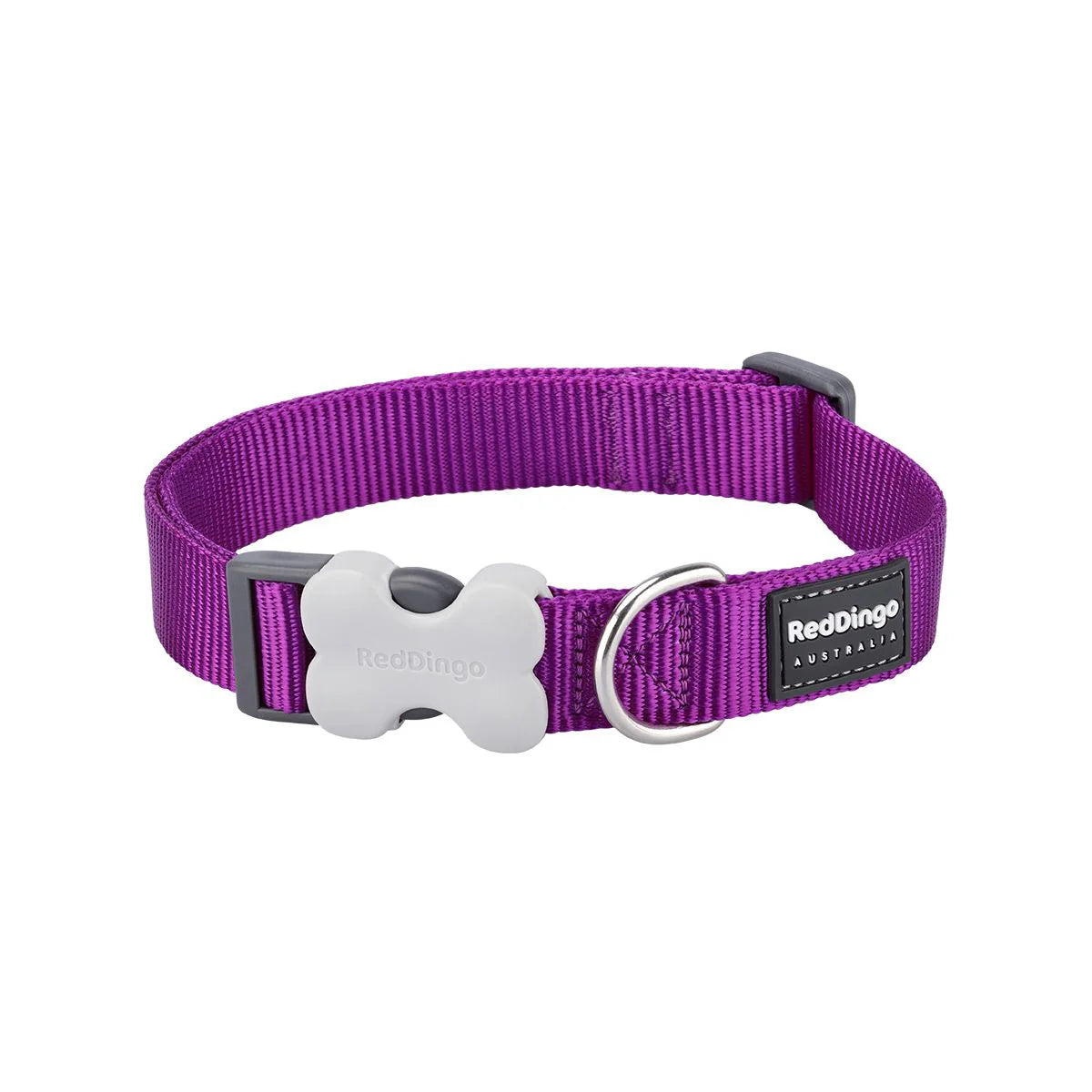 Purple dog collar with a silver bone-shaped buckle and brand label on a white background