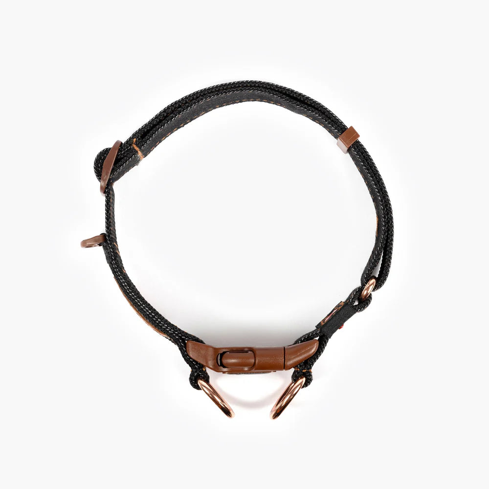 EzyDog Double Up Dog Collar - Premium Nylon with Dual D-Rings & Reflective Stitching