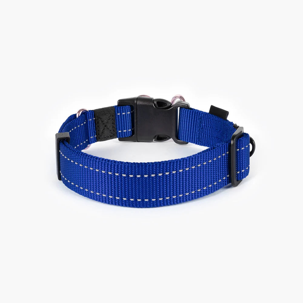 EzyDog Double Up Dog Collar - Premium Nylon with Dual D-Rings & Reflective Stitching