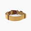 Brown dog collar with a brown buckle on a white background