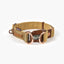 Brown dog collar with gold hardware on a white background