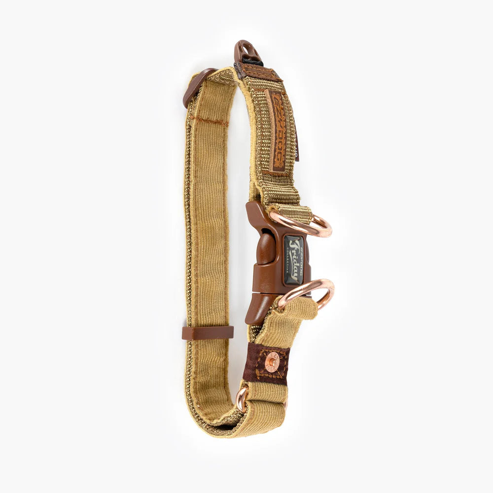 Tan dog collar with brown leather accents on a white background