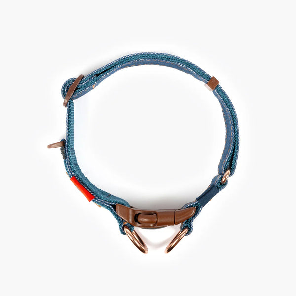 EzyDog Double Up Dog Collar - Premium Nylon with Dual D-Rings & Reflective Stitching