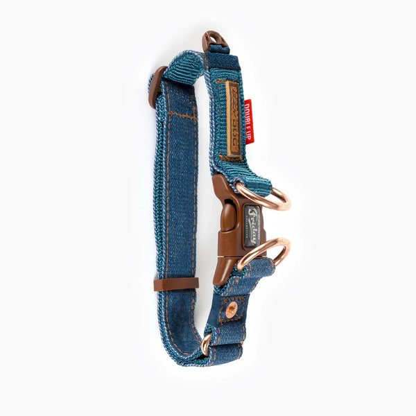 EzyDog Double Up Dog Collar - Premium Nylon with Dual D-Rings & Reflective Stitching