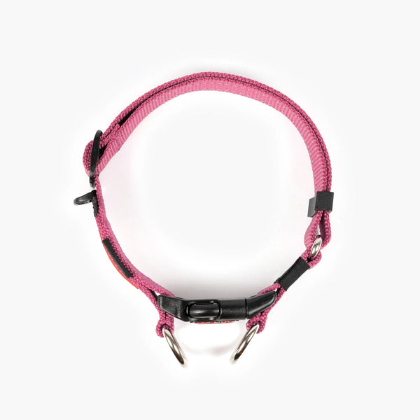 EzyDog Double Up Dog Collar - Premium Nylon with Dual D-Rings & Reflective Stitching