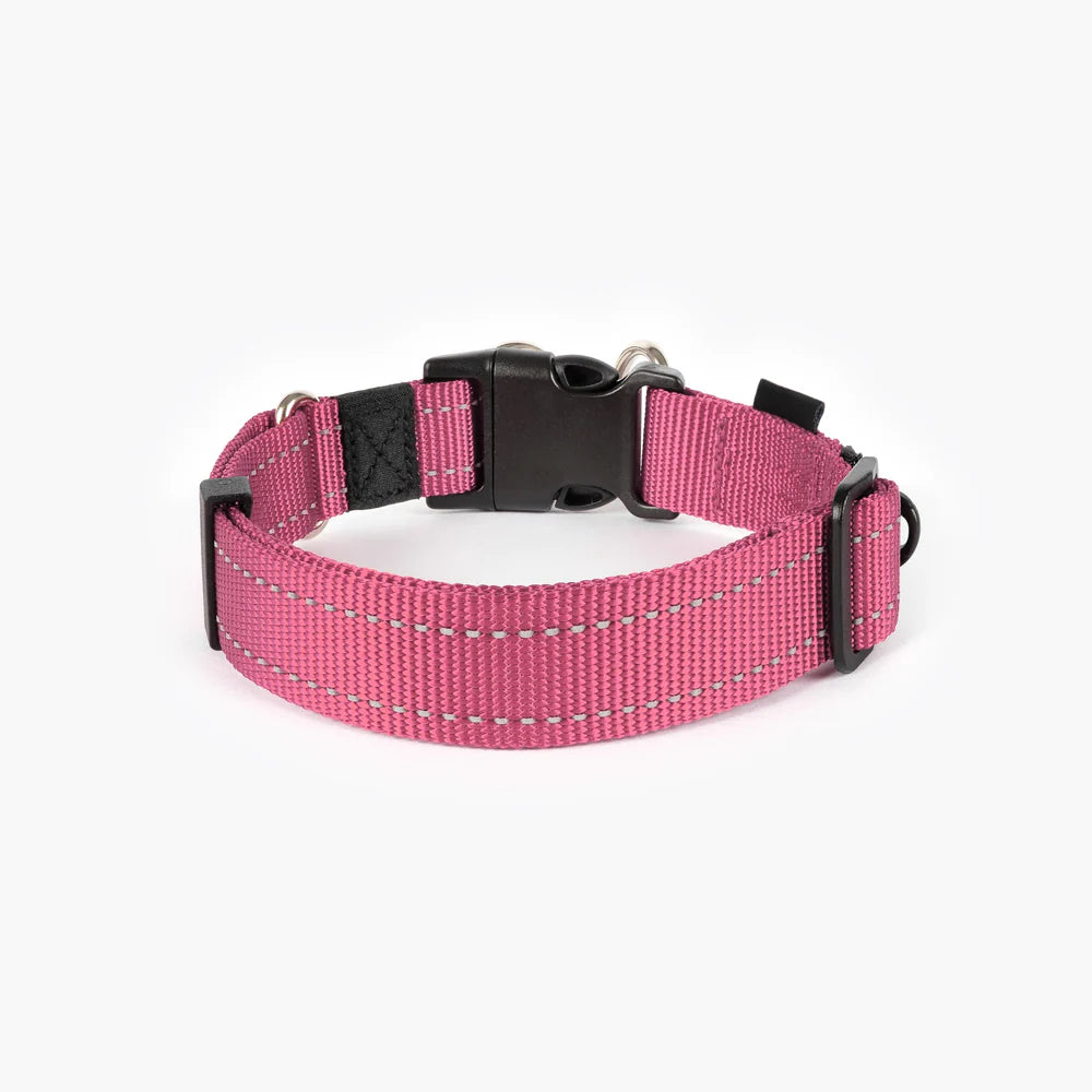 EzyDog Double Up Dog Collar - Premium Nylon with Dual D-Rings & Reflective Stitching