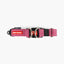 EzyDog Double Up Dog Collar - Premium Nylon with Dual D-Rings & Reflective Stitching