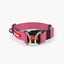 EzyDog Double Up Dog Collar - Premium Nylon with Dual D-Rings & Reflective Stitching