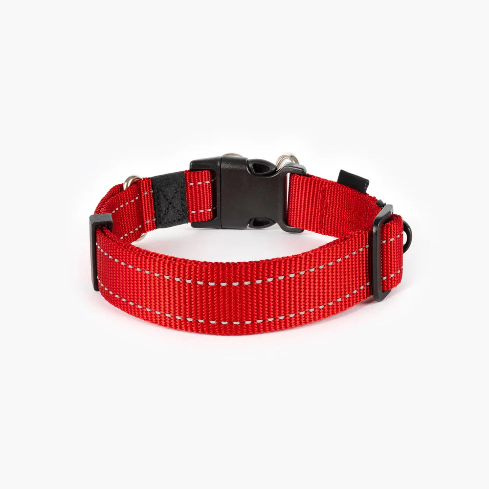 EzyDog Double Up Dog Collar - Premium Nylon with Dual D-Rings & Reflective Stitching