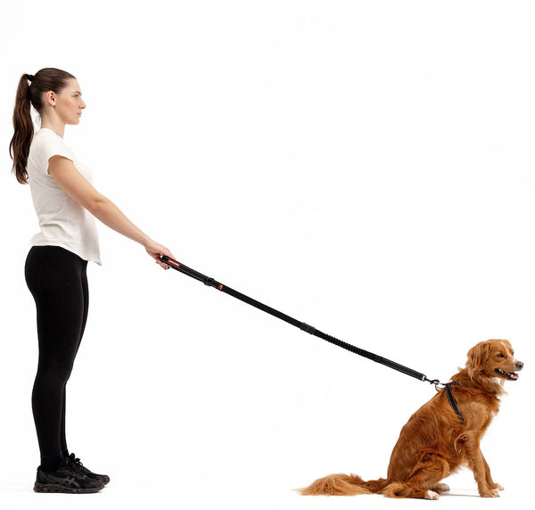 EzyDog Zero Shock Dog Leash - 120cm