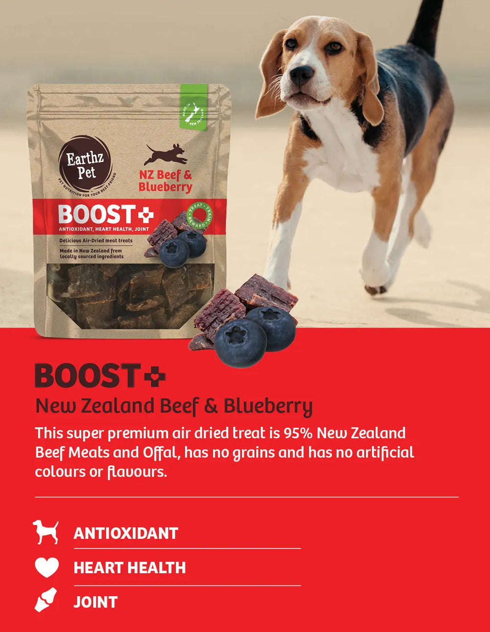 BOOST+ Beef & Blueberry Air-Dried Dog Treats 100g