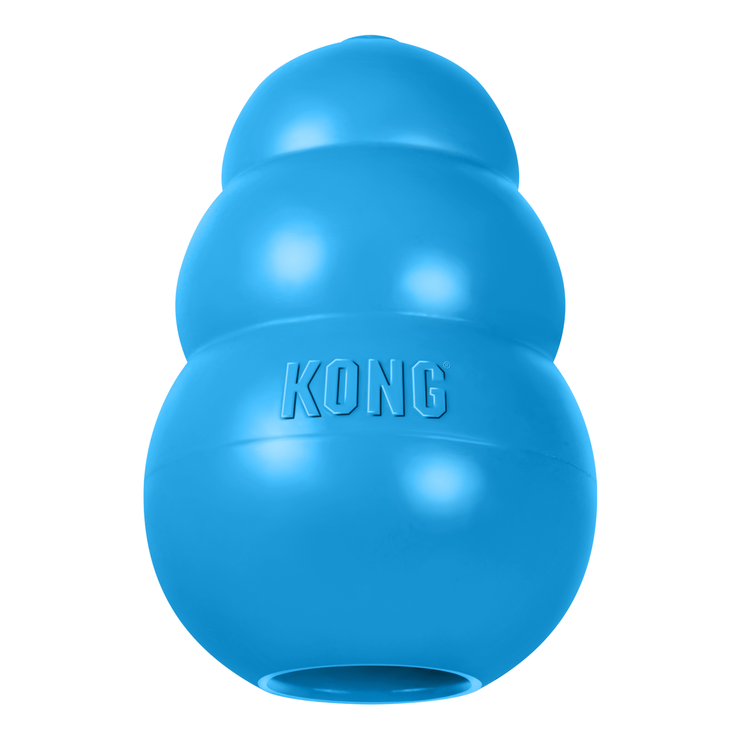 Kong Puppy Blue