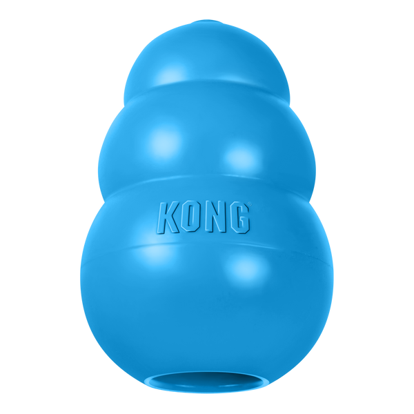 Kong Puppy Blue