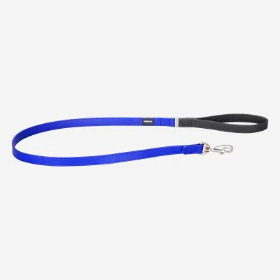 Blue dog leash with a metal clip on a white background