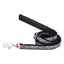 Dog leash with zebra pattern on a white background