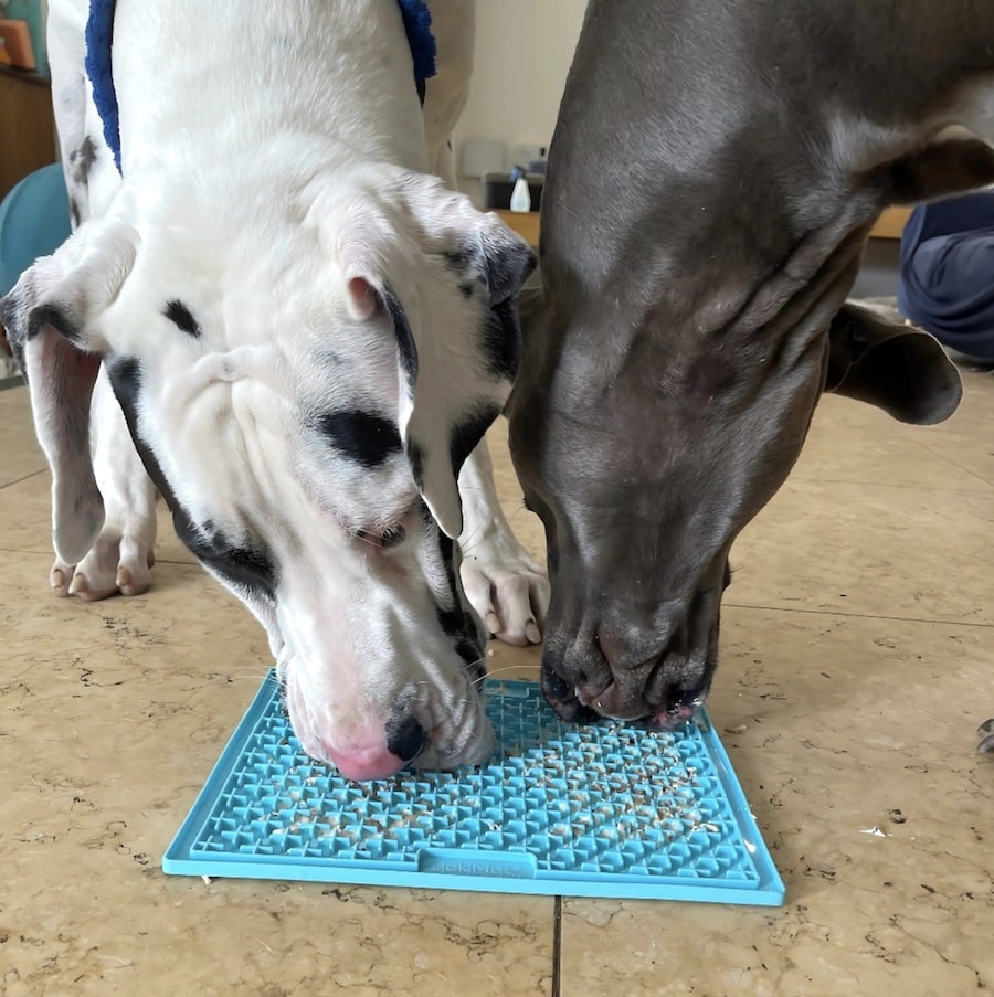 LickiMat Buddy XL - Extra Large Slow Feeder Licking Mat for Dogs & Cats | Turquoise